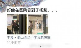 汉口医院爆料事件真相视频,真相视频揭露惊人内幕