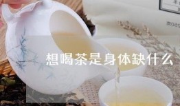 喝茶爆料最新消息,揭秘娱乐圈最新动态，明星隐私大曝光！”