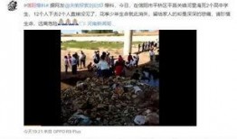 信阳学生家长爆料视频,校园事件真相曝光