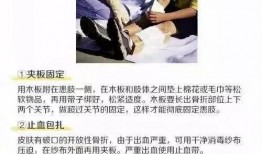 重庆王师傅爆料视频播放,揭秘背后惊人真相！