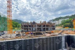 颐园二期爆料事件最新,揭秘豪宅背后的争议与真相