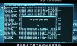 黑客最新爆料电话号码,黑客最新爆料，电话号码泄露事件引发安全警钟