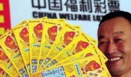 中国彩票爆料新闻最新,中奖者身份曝光，奖金去向引关注！”