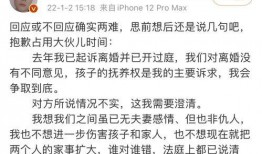 网友爆料张九南出轨视频,网友爆料引发热议