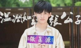 张真源私生爆料最新消息,独家揭秘事件最新进展