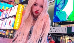 纽约爆料辣妹跑路视频,一场惊心动魄的逃亡大戏