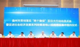 儋州爆料新闻事件始末最新消息,真相大白，后续发展引关注