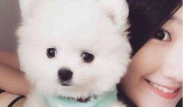 博美爆料新闻事件真相是真的吗,真相揭秘