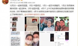 平顶山最新爆料出轨新闻,细节曝光，真相令人咋舌