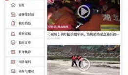 楚天传媒爆料视频下载免费,免费下载视频背后的秘密大揭秘