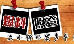 爆料新闻和媒体,媒体曝光惊天内幕，事件真相令人震惊！