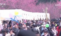 走马观花爆料视频大全下载,精彩瞬间一网打尽