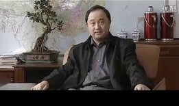 以黑治黑电视剧全集在线观看,黑白交锋，正义之战