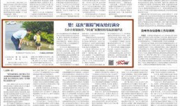 易经网友爆料新闻报道大全,新闻报道大全揭秘