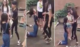 网红爆料校园暴力视频,网红视频揭露惊人真相