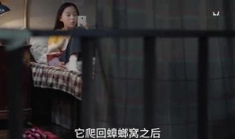 三姐爆料视频大全集,揭秘背后真相与精彩瞬间