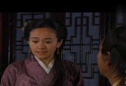 内当家在线观看,揭秘家庭背后的权力游戏