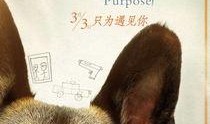 一条狗的使命在线观看,一条狗的使命观影指南