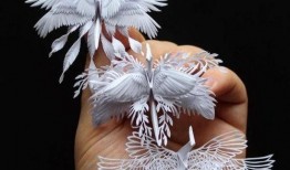 千纸鹤最新爆料图片