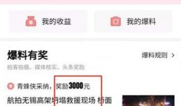头条爆料上传不了视频