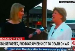 爆料转基因的记者被杀视频,真相调查背后的惊悚一幕