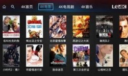 乐视网电影在线观看,乐视网电影在线观看，尽在指尖