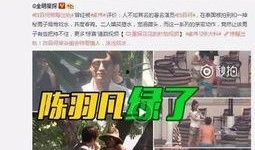 平顶山最新爆料出轨新闻,细节曝光，真相令人咋舌