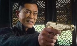 危城在线观看完整版,生死较量，揭秘网络世界的暗流涌动