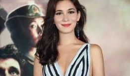 王智爆料吴京视频播放,视频播放背后的惊人内幕