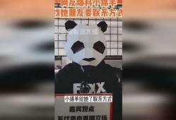 刘大锤最新爆料小绵羊,小绵羊背后的惊人真相