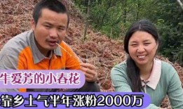 东北农嫂爆料原视频,原视频背后的惊人内幕