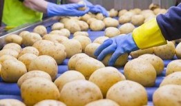 娱乐吃瓜酱土豆视频,土豆视频带你领略趣味横生的娱乐圈