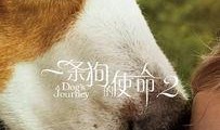 一条狗的使命在线观看免费,一条狗的使命观影指南