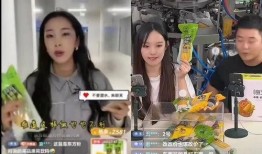 东北农嫂爆料原视频,原视频背后的惊人内幕