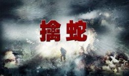 擒蛇第40集在线观看,揭秘蛇影重重背后的惊天阴谋