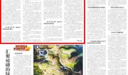 治水最新爆料新闻视频下载,视频曝光关键环节与成果