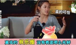 娱乐圈爆料真实吗,揭秘真相与谣言的交织