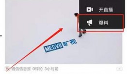 头条爆料视频赚钱方法,紧跟头条爆料，轻松月入过万的赚钱秘诀