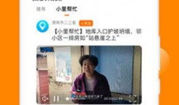 璐宝新瓜爆料视频下载,独家爆料背后的故事与真相