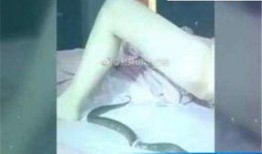 黄鳝门在线观看视频,揭秘网络直播背后的惊人真相