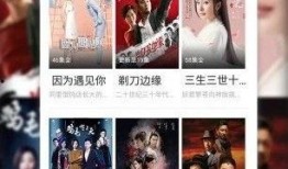 新疆网红爆料视频播放下载,揭秘幕后故事