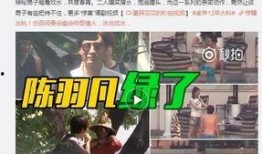 爆料杰尔乔维奇视频下载,揭秘幕后真相与热门片段