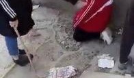 殴打女孩最新爆料,最新爆料揭露惊人内幕