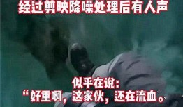 北美渣男爆料事件视频,揭秘情感欺骗背后的真相
