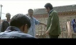 以黑治黑电视剧全集在线观看,黑白交锋，正义之战