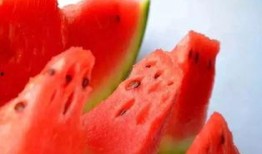 天天有大瓜天天免费吃,每日免费大瓜，尽享资讯狂欢