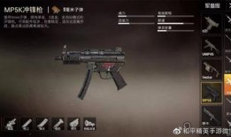 新手册枪械爆料怎么做视频,视频制作攻略全解析